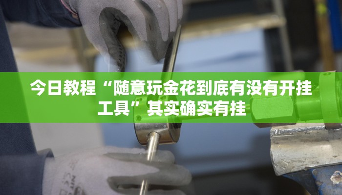 辅助神器“皇后大厅透视”详细开挂教程