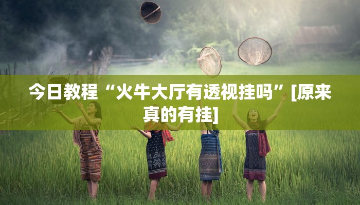 辅助神器“黑鹰众玩透视拼三张”详细开挂教程