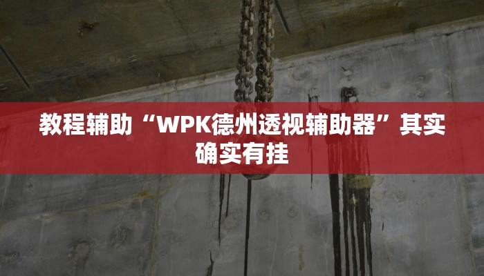 辅助神器“AApoker透视挂教程”详细开挂教程