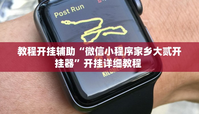 辅助神器“方片十三张有没有挂”其实确实有挂