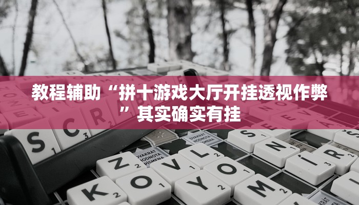 辅助神器“皮皮云南麻将开挂神器”详细开挂教程