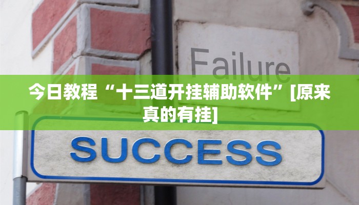 辅助神器“微乐保皇开挂教程”其实确实有挂