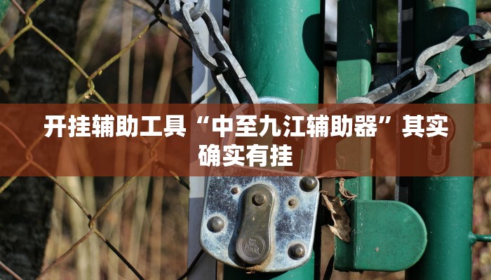 辅助神器“德扑之星开挂透视教程”(详细开挂教程)