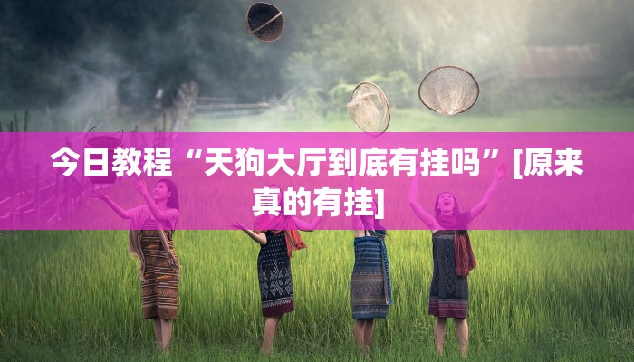 分享教程“海米大厅确实有透视挂”开挂(透视)辅助神器