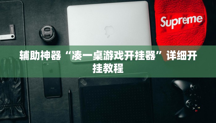 辅助神器“跑得快16张开挂神器”其实确实有挂