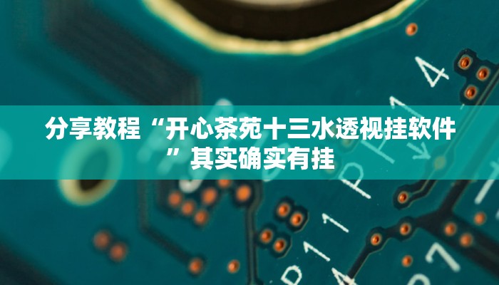 开挂辅助工具“广西八一字牌怎么开挂”其实确实有挂
