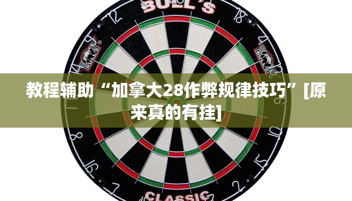 教程辅助“加拿大28作弊规律技巧”[原来真的有挂]