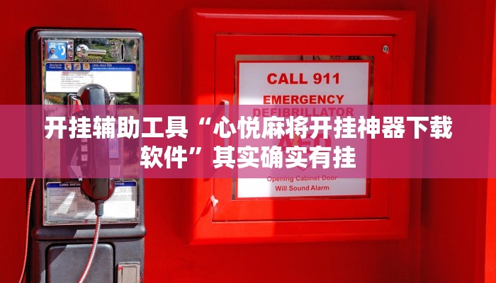 开挂辅助工具“心悦麻将开挂神器下载软件”其实确实有挂