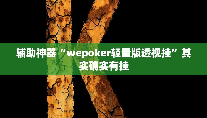 辅助神器“wepoker轻量版透视挂”其实确实有挂