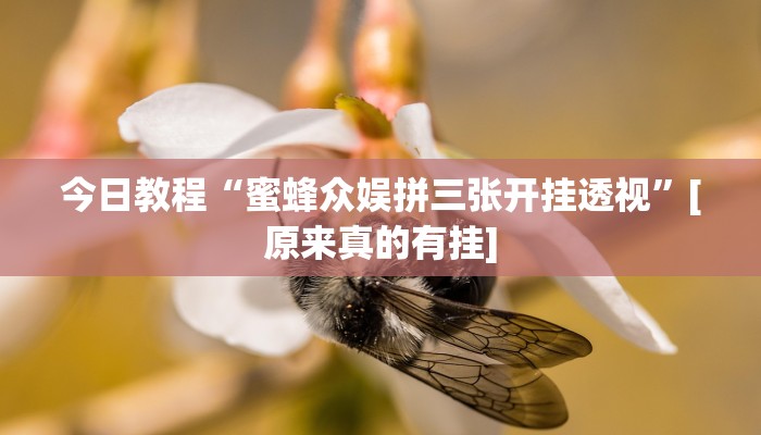 辅助开挂工具“摸一把跑得快有没有挂的”开挂(透视)辅助神器