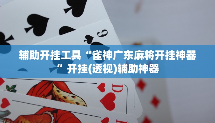 辅助神器“茄子娱乐开挂”详细开挂教程