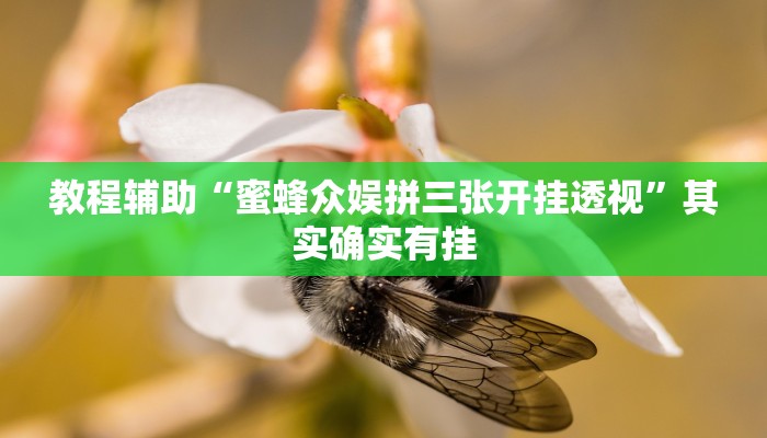 教程辅助“蜜蜂众娱拼三张开挂透视”其实确实有挂