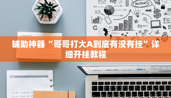 辅助神器“哥哥打大A到底有没有挂”详细开挂教程