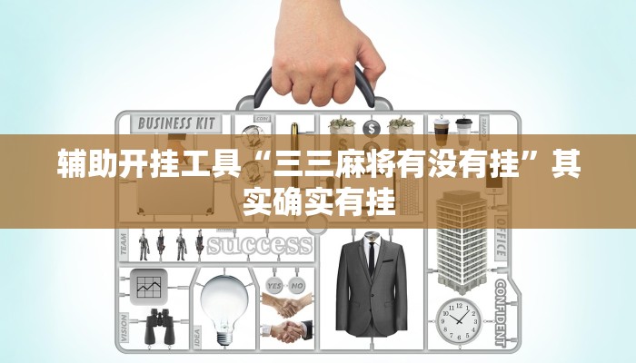 辅助神器“新人皇拼十有挂吗”其实确实有挂