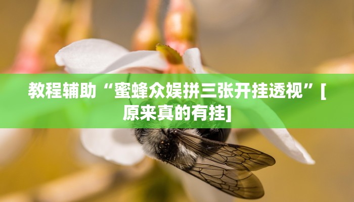 开挂辅助工具“一方大厅透视挂”其实确实有挂