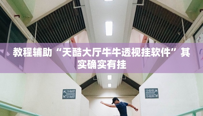 辅助神器“胡乐麻将带挂视频”(详细开挂教程)