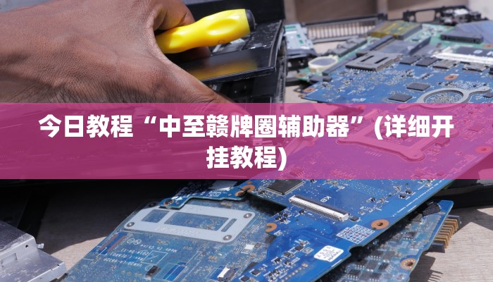 今日教程“中至赣牌圈辅助器”(详细开挂教程)