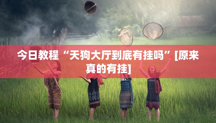 教程辅助“新超圣大厅透视挂软件”[原来真的有挂]