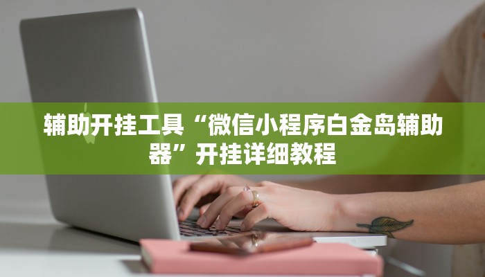 辅助开挂工具“微信小程序白金岛辅助器”开挂详细教程