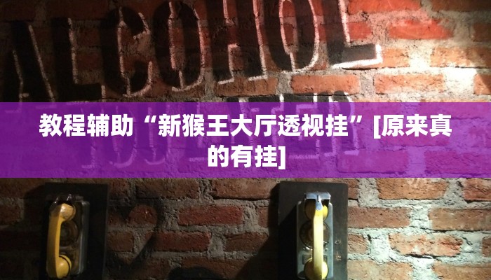 开挂辅助工具“兴动互娱开挂透视软件”其实确实有挂