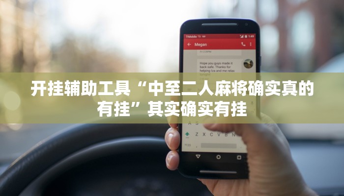 辅助神器“德扑之星有挂吗”详细开挂教程