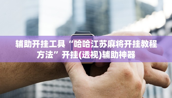 辅助神器“超稳大厅作弊辅助透视开挂”其实确实有挂