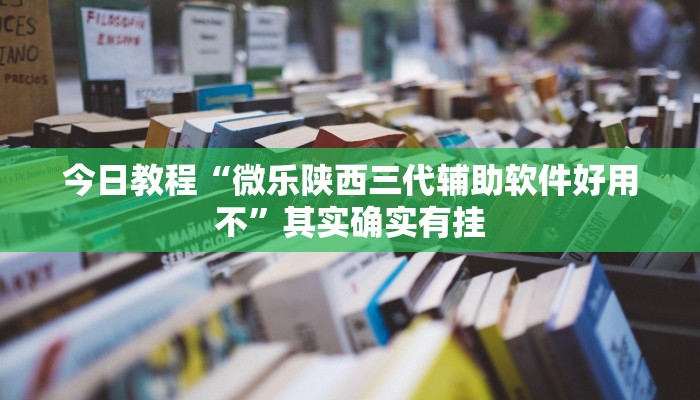 教程辅助“玫瑰大厅确实真的有挂”(原来确实是有挂)