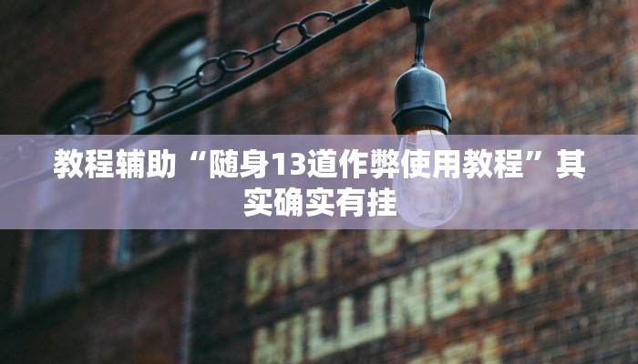 教程辅助“随身13道作弊使用教程”其实确实有挂
