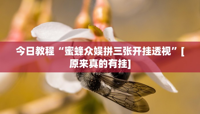 玩家必备攻略“微乐海南麻将真的有挂吗”(详细开挂教程)