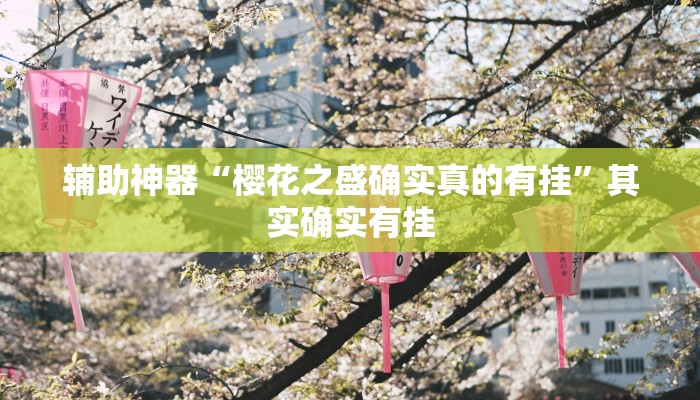 辅助神器“成就联盟到底有没有挂”(详细开挂教程)