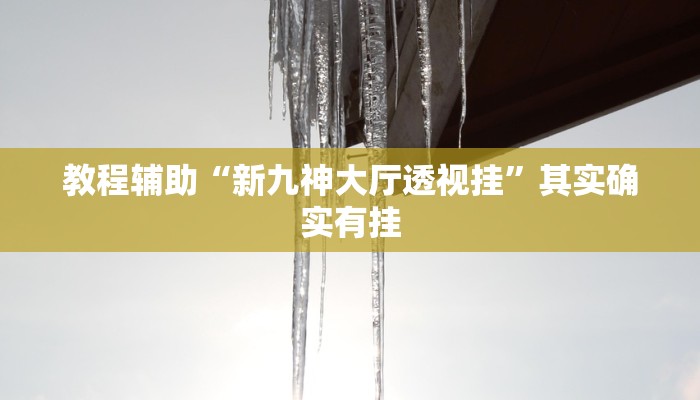 教程辅助“新九神大厅透视挂”其实确实有挂