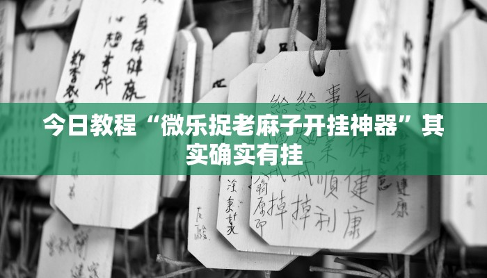 今日教程“微乐捉老麻子开挂神器”其实确实有挂