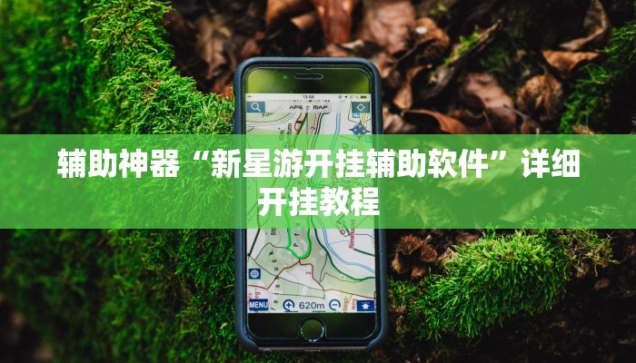 辅助神器“新星游开挂辅助软件”详细开挂教程