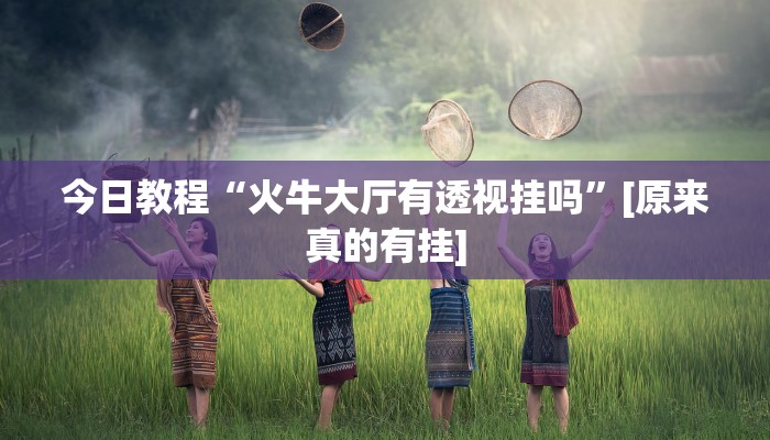 辅助神器“wepoker开挂透视辅助挂”其实确实有挂