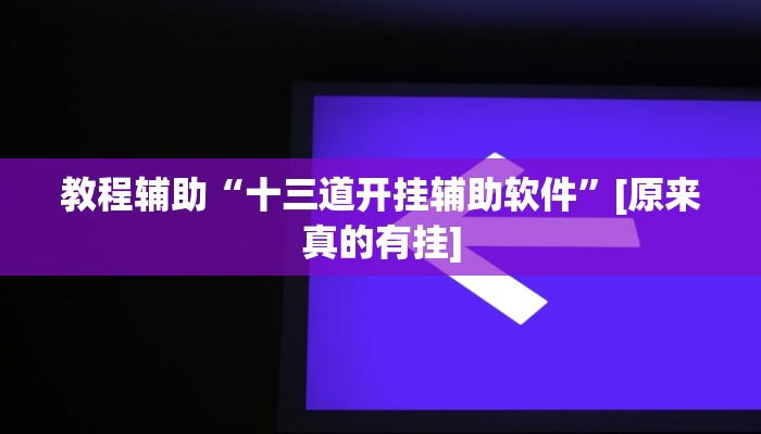 教程辅助“十三道开挂辅助软件”[原来真的有挂]