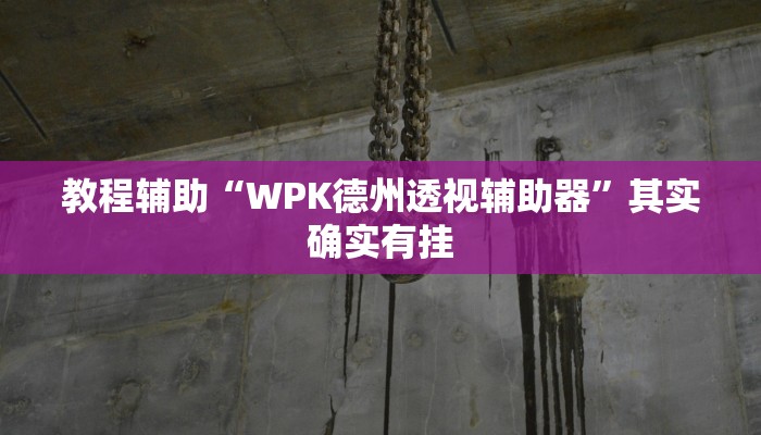 教程辅助“WPK德州透视辅助器”其实确实有挂
