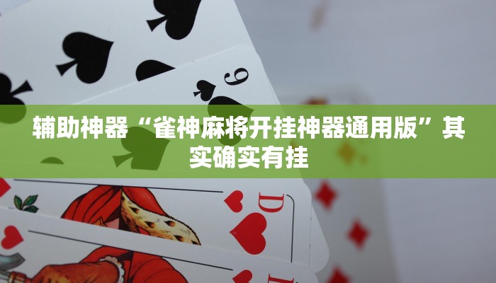 辅助神器“黑侠破解棋牌透视”(详细开挂教程)