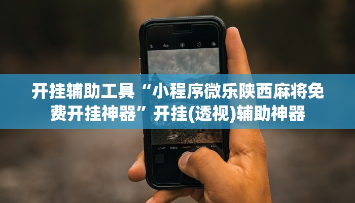 开挂技巧“胜奕填大坑透视软件”[原来真的有挂]