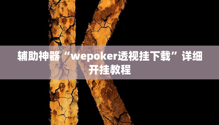 辅助神器“wepoker透视挂下载”详细开挂教程