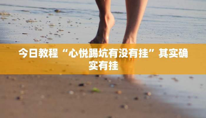 教程辅助“长虹大厅开挂透视辅助”其实确实有挂