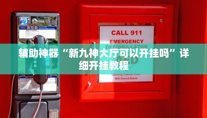 辅助神器“新九神大厅可以开挂吗”详细开挂教程
