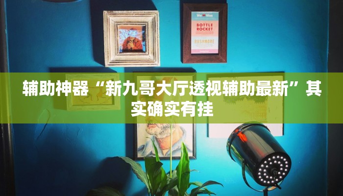 辅助神器“新九哥大厅透视辅助最新”其实确实有挂