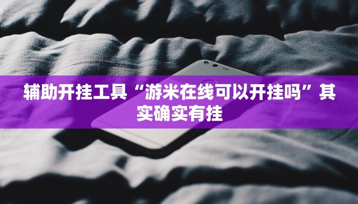 辅助开挂工具“椰岛常胜游戏辅助器”其实确实有挂