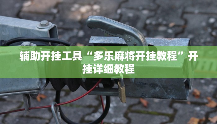 开挂辅助工具“开心联盟安装透视挂”开挂详细教程