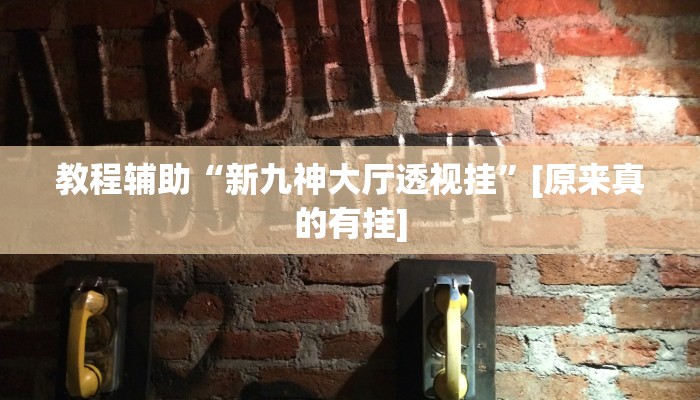 开挂辅助工具“新海贝之城怎么开挂教程”其实确实有挂
