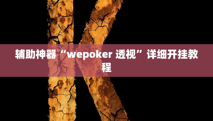 辅助神器“wepoker 透视”详细开挂教程