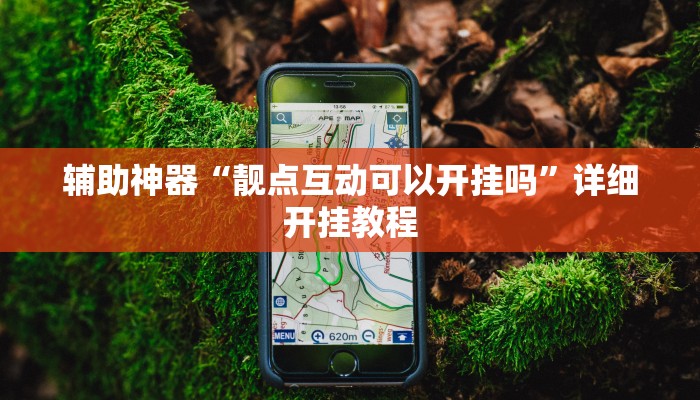 辅助开挂工具“懒人斗十四确实真的有挂”开挂(透视)辅助神器