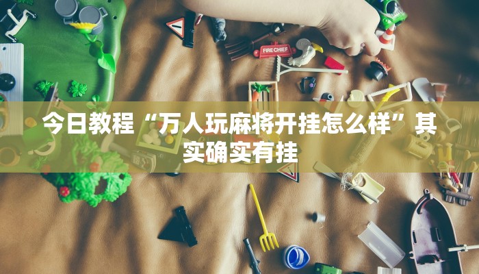 辅助神器“正版随意玩怎么开挂”其实确实有挂 