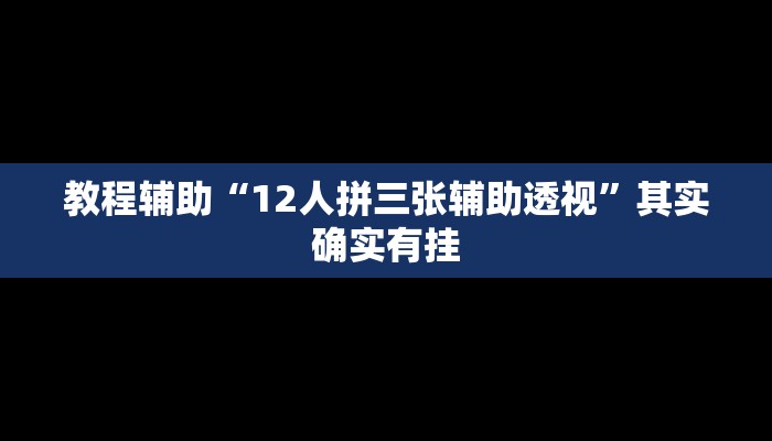 教程辅助“12人拼三张辅助透视”其实确实有挂