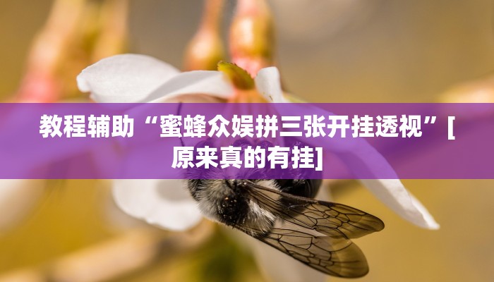 今日教程“微乐南昌麻将外卦神器下载安装”其实确实有挂